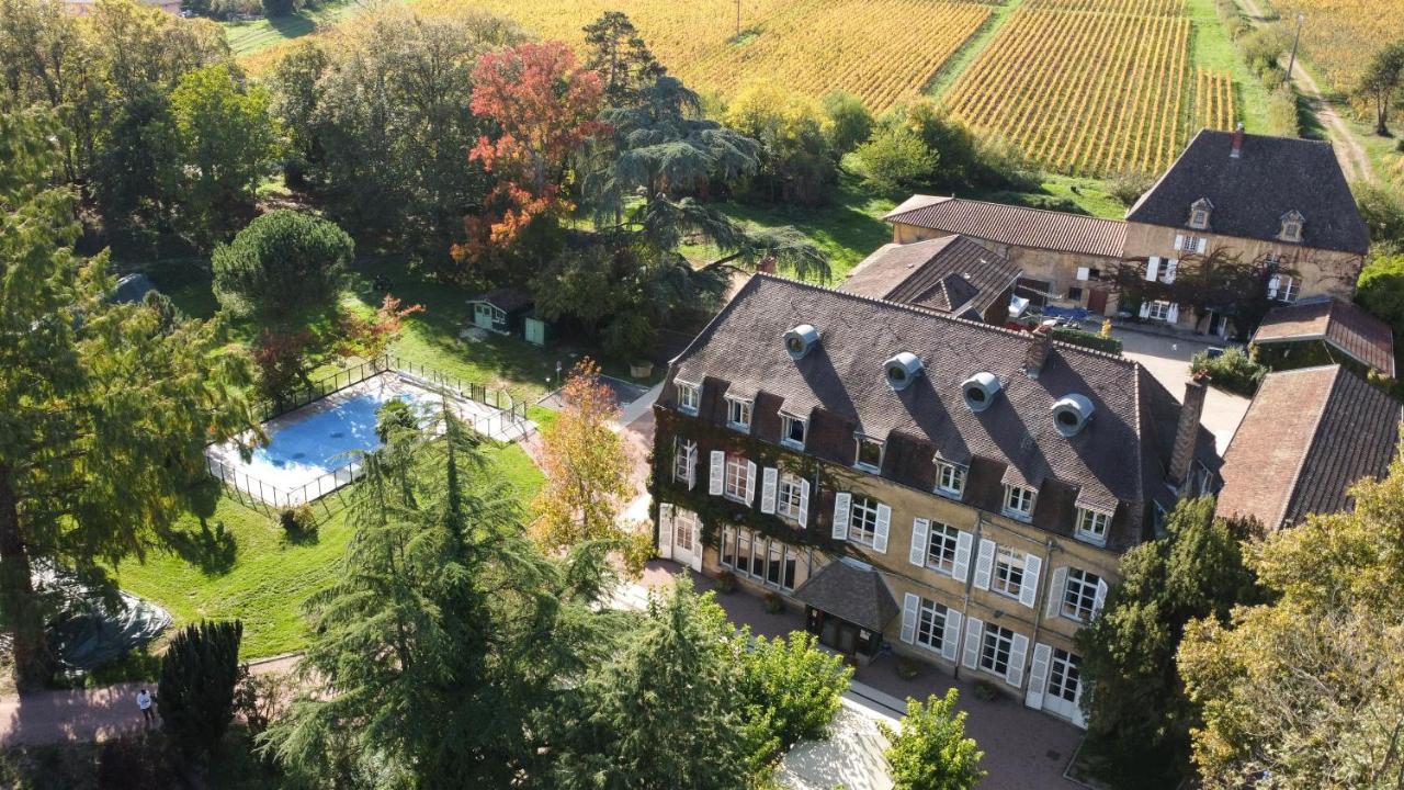 Logis Hotels Chateau De La Barge Chaintré Εξωτερικό φωτογραφία